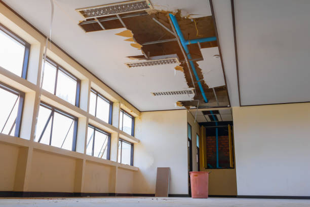 Best Basement water damage restoration  in Pleasant Grove, AL