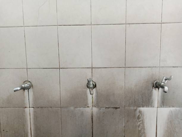 Best Ceiling water damage repair  in Pleasant Grove, AL
