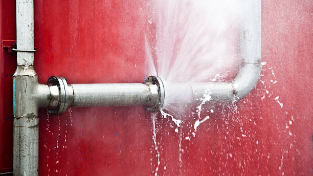 Best Commercial water damage restoration  in Pleasant Grove, AL