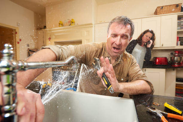 Best Carpet water damage restoration  in Pleasant Grove, AL